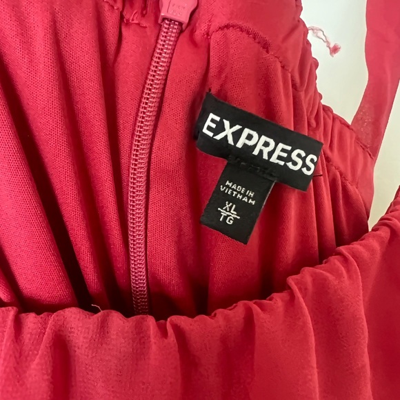 Express chiffon Ruffled Dress - Picture 3 of 6